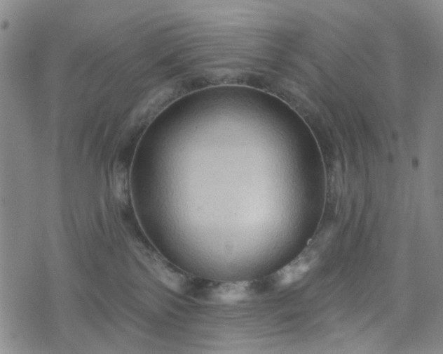 X0000076380138200610161124