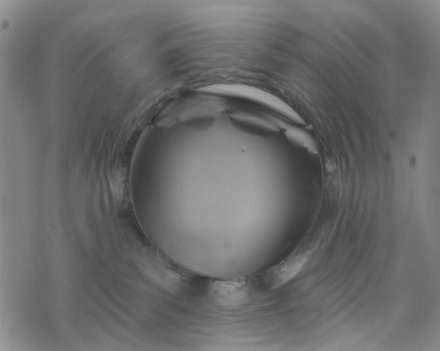 X0000076380139200610161124