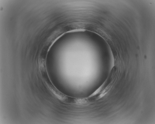 X0000076380141200610161124