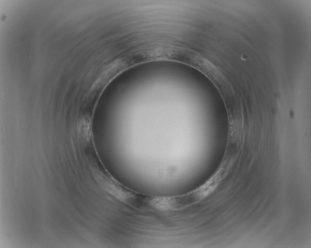 X0000076380142200610161124