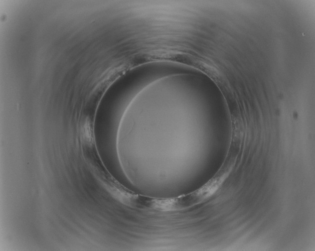 X0000076380143200610161124