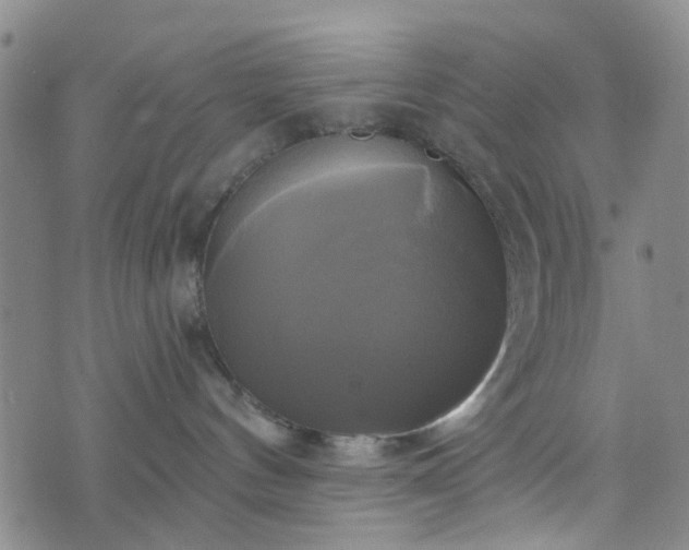 X0000076380144200610161124