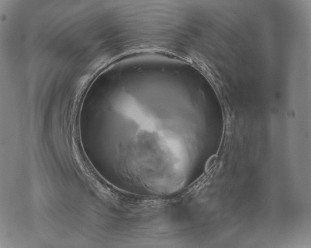 X0000076380145200610161124