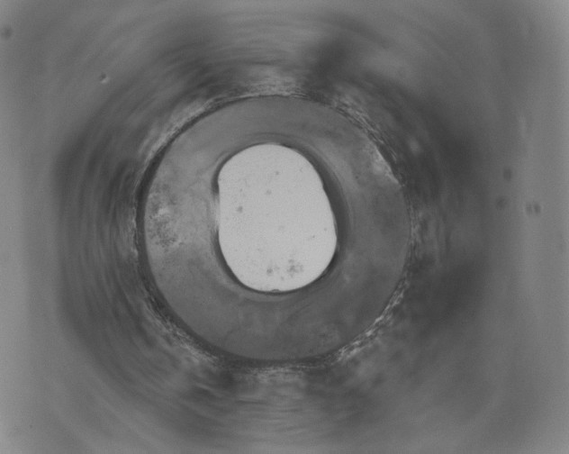 X0000076380146200610161124