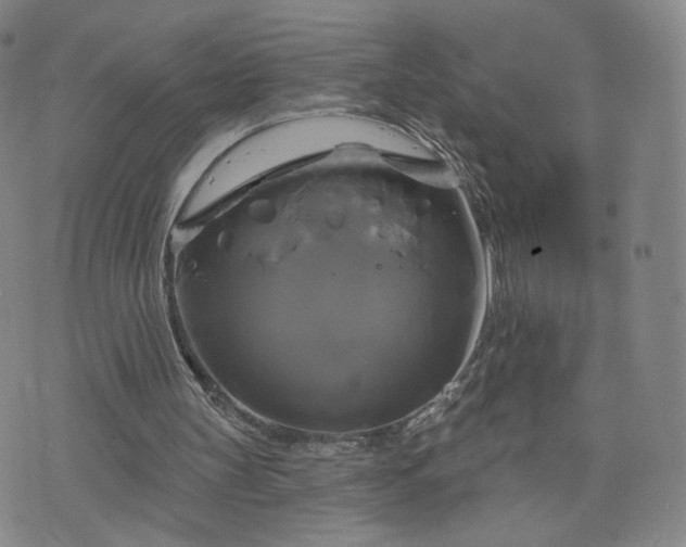 X0000076380147200610161124