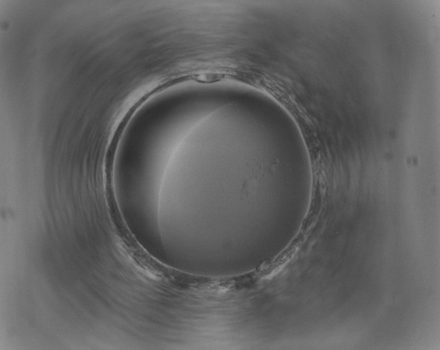 X0000076380148200610161124