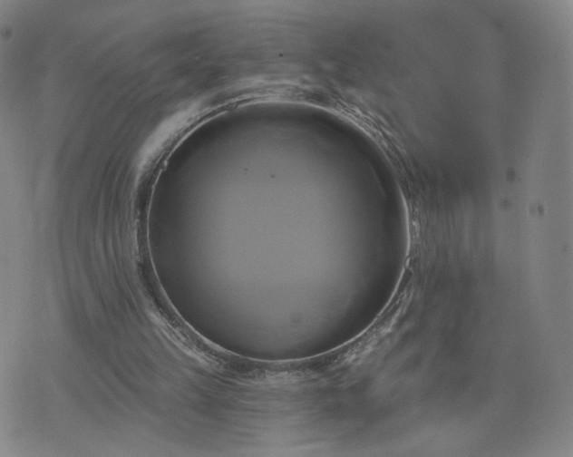 X0000076380149200610161124