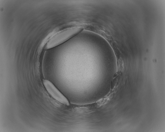 X0000076380150200610161124