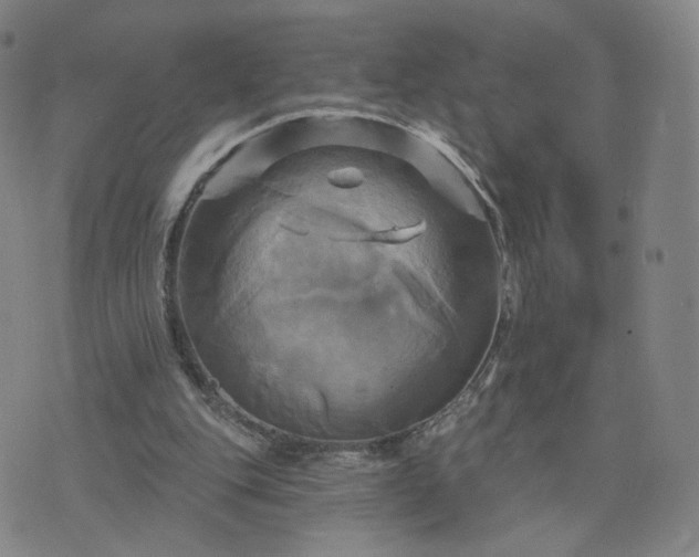 X0000076380151200610161124