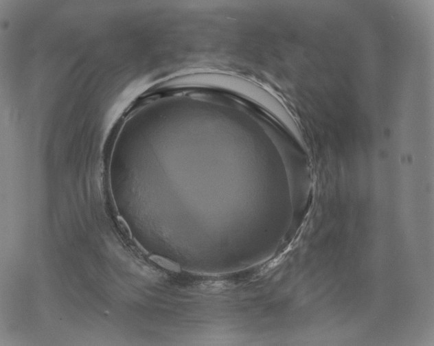 X0000076380152200610161124