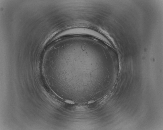 X0000076380154200610161124