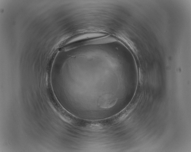 X0000076380157200610161124