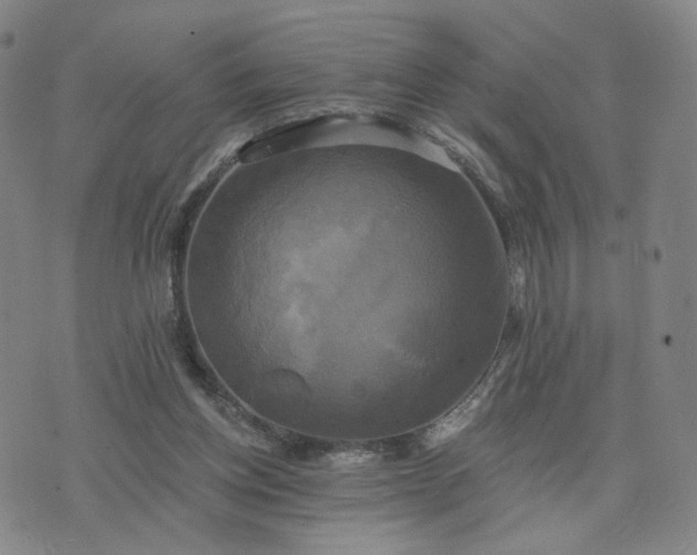 X0000076380158200610161124