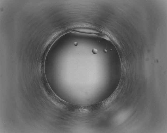 X0000076380159200610161124