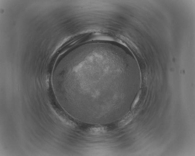 X0000076380160200610161124