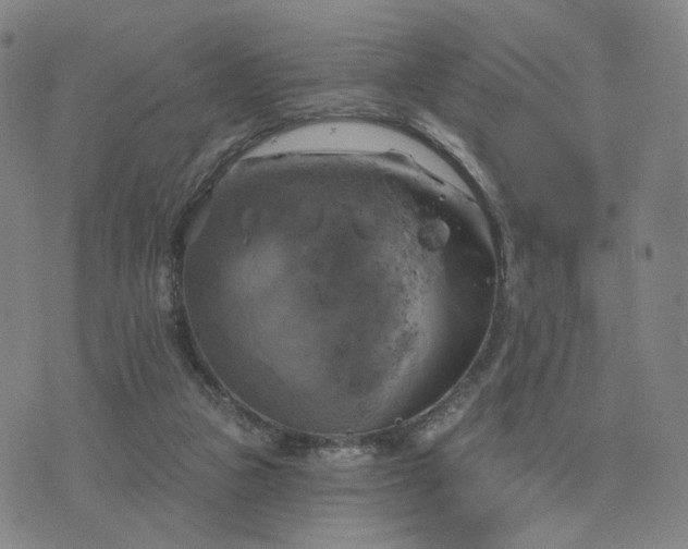 X0000076380161200610161124