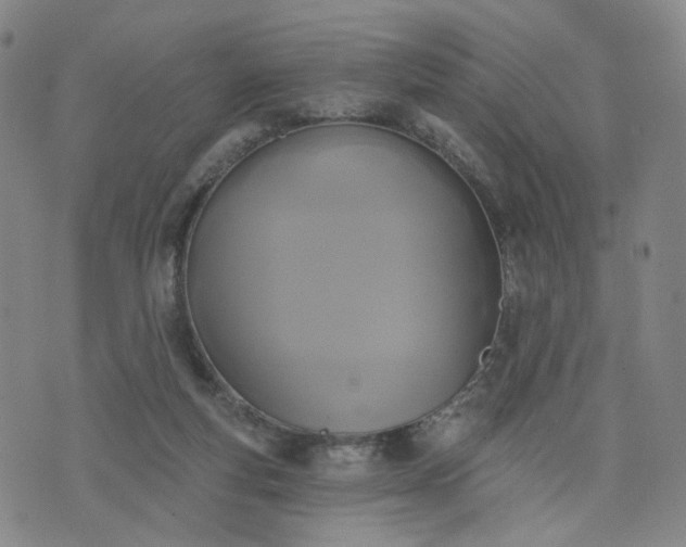 X0000076380163200610161124