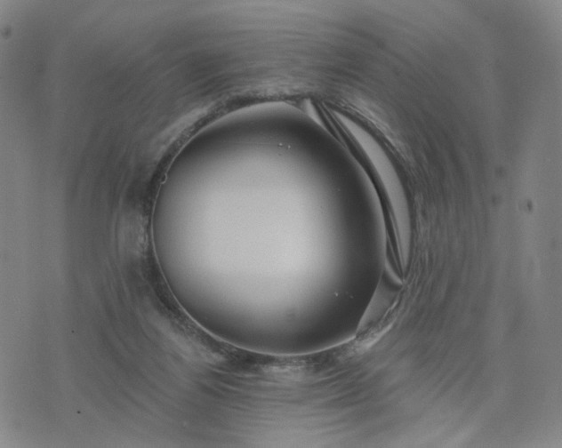 X0000076380164200610161124