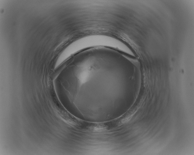 X0000076380165200610161124