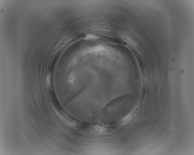 X0000076380166200610161124