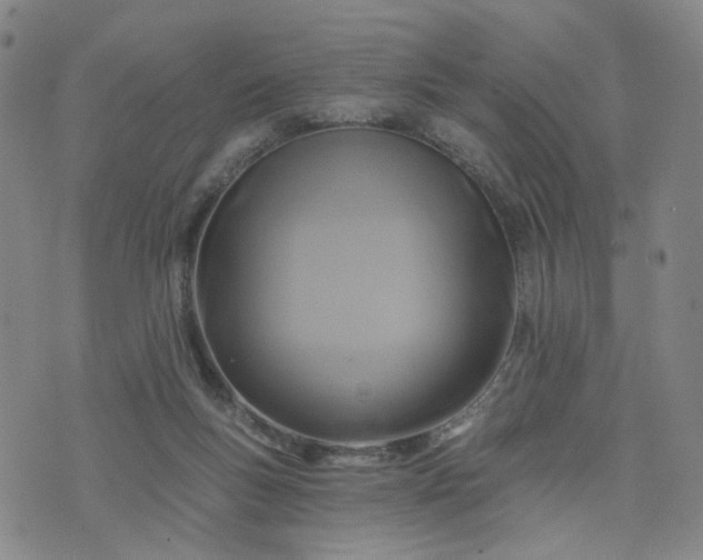 X0000076380167200610161124