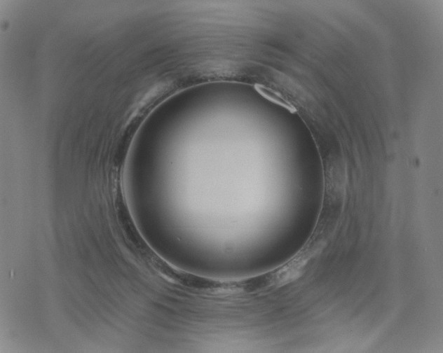 X0000076380168200610161124