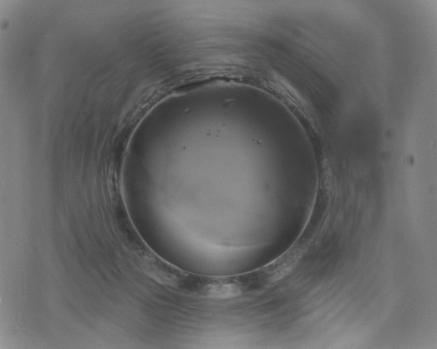 X0000076380169200610161124