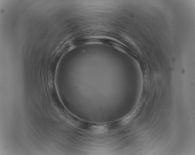 X0000076380170200610161124