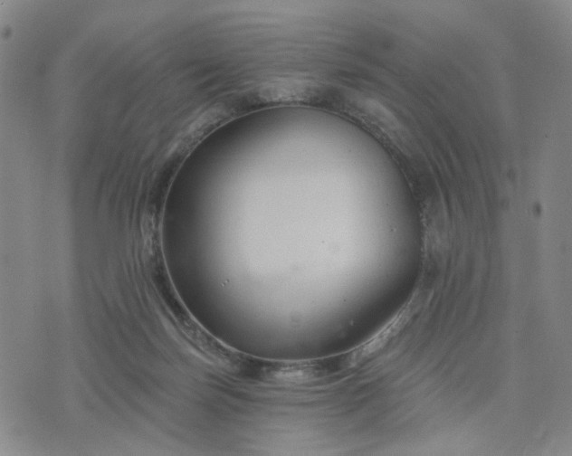 X0000076380171200610161124