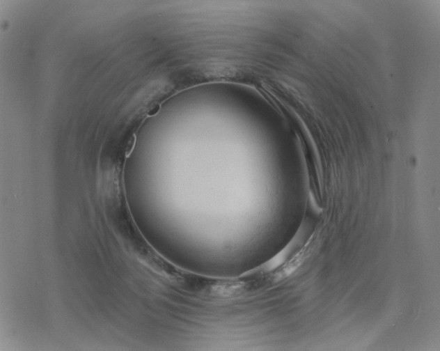 X0000076380172200610161124