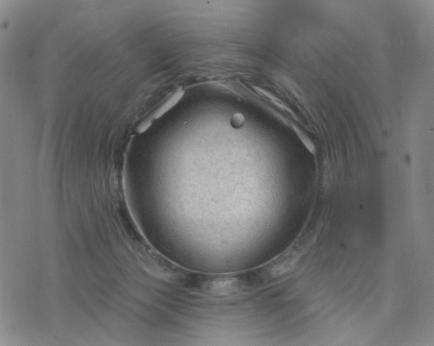 X0000076380173200610161124