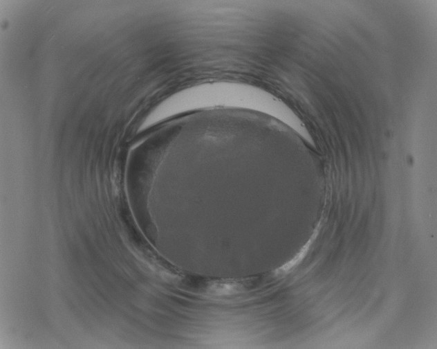 X0000076380174200610161124