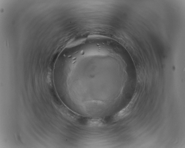 X0000076380175200610161124