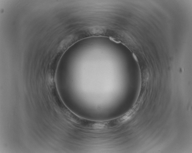 X0000076380176200610161124