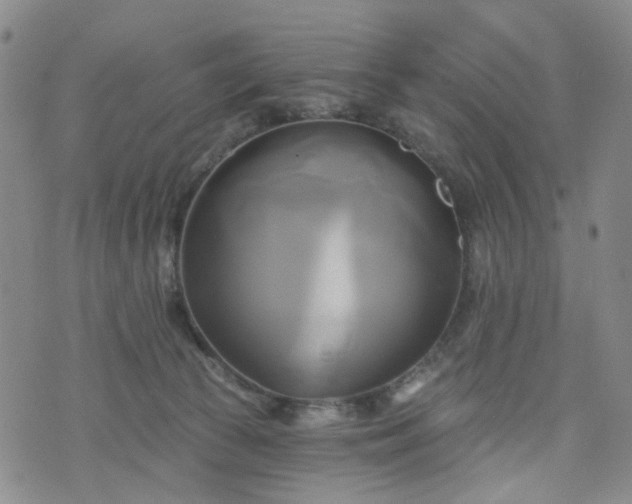 X0000076380177200610161124