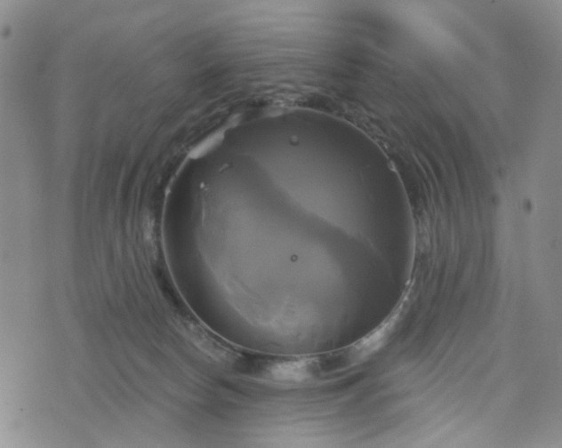 X0000076380178200610161124