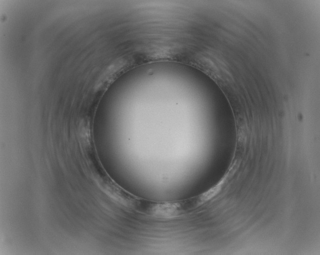 X0000076380179200610161124