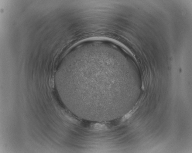 X0000076380180200610161124