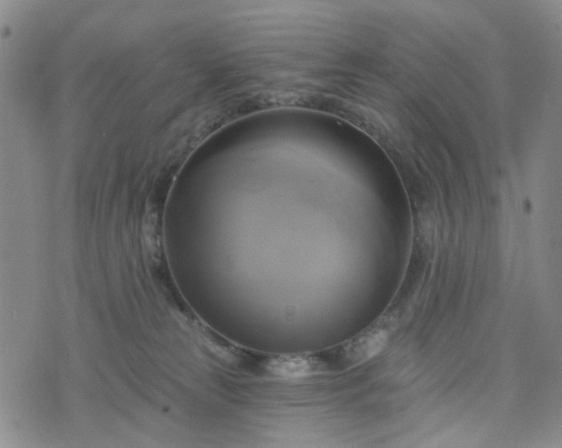 X0000076380181200610161124