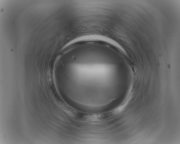 X0000076380182200610161124