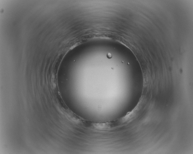 X0000076380187200610161124