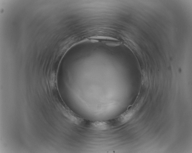 X0000076380189200610161124