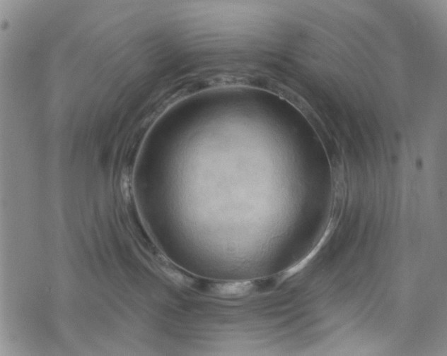 X0000076380191200610161124