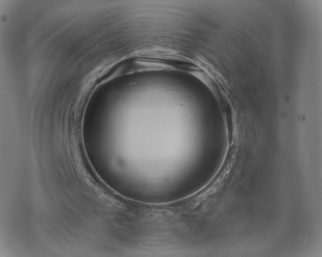 X0000076380193200610161124