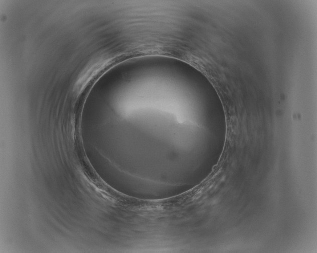 X0000076380194200610161124