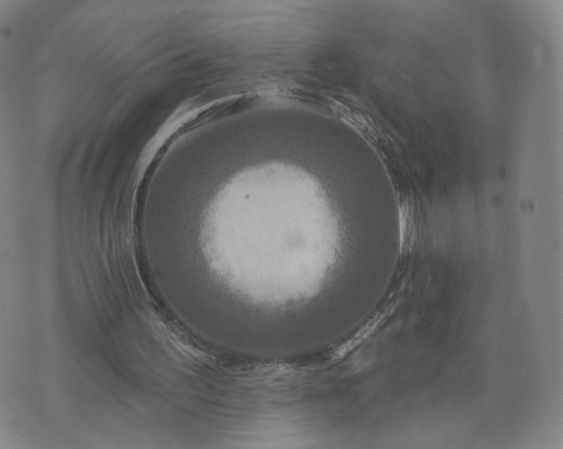 X0000076380195200610161124