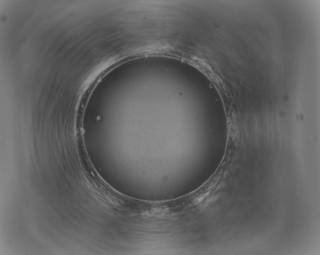 X0000076380196200610161124