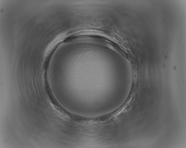 X0000076380197200610161123