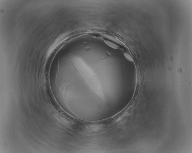 X0000076380198200610161123