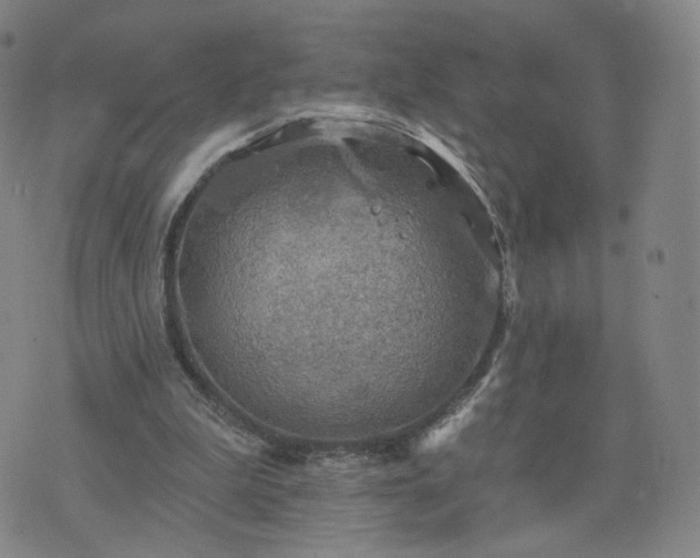 X0000076380199200610161123